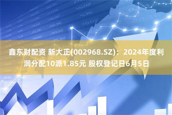 鑫东财配资 新大正(002968.SZ)：2024年度利润分配10派1.85元 股权登记日6月5日