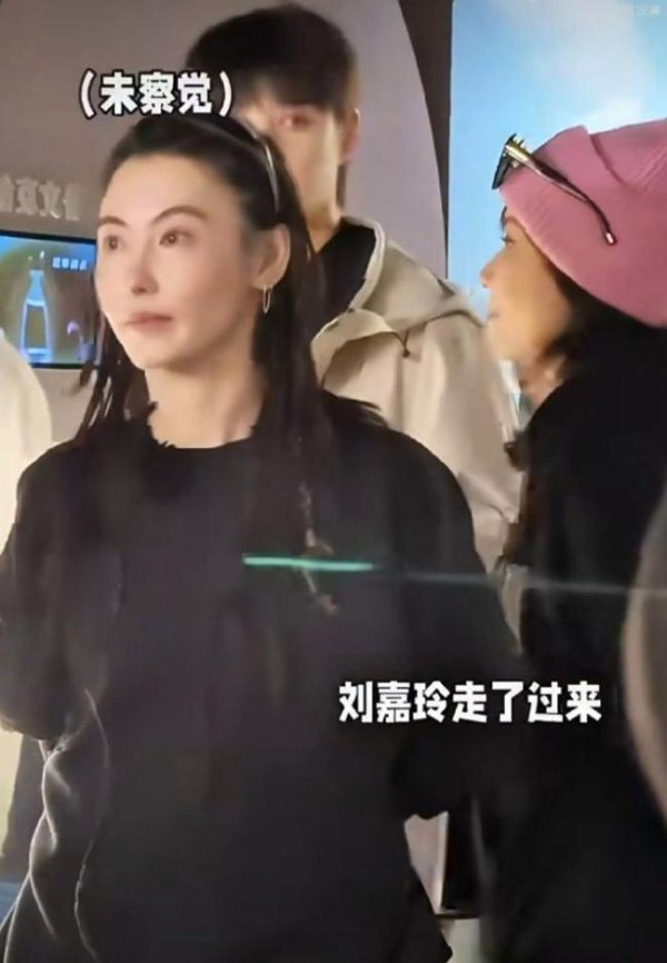 股市策略 张柏芝镜头下的呼伦贝尔 明星互动点燃文化热