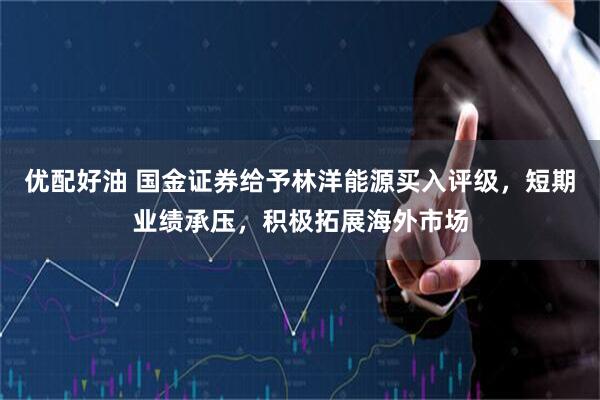 优配好油 国金证券给予林洋能源买入评级，短期业绩承压，积极拓展海外市场